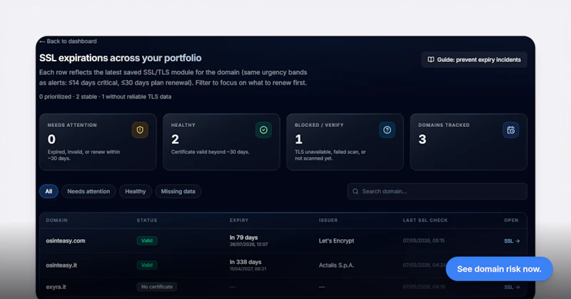 OSINTeasy – Domain Security Workspace screenshot 3