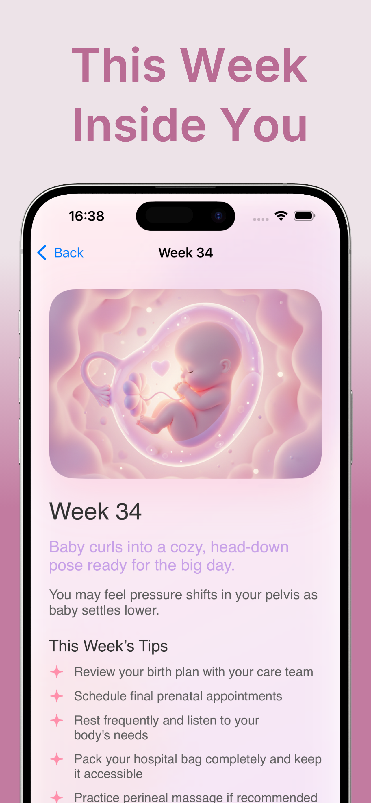 Pregnancy Pro - Baby Tracker gallery image