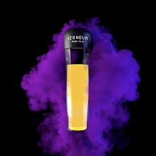 IZONEUM gallery image