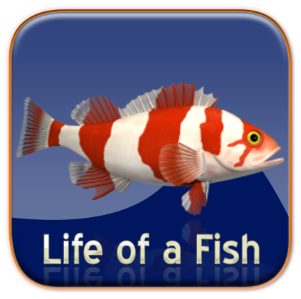 Life of a Fish