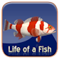 Life of a Fish