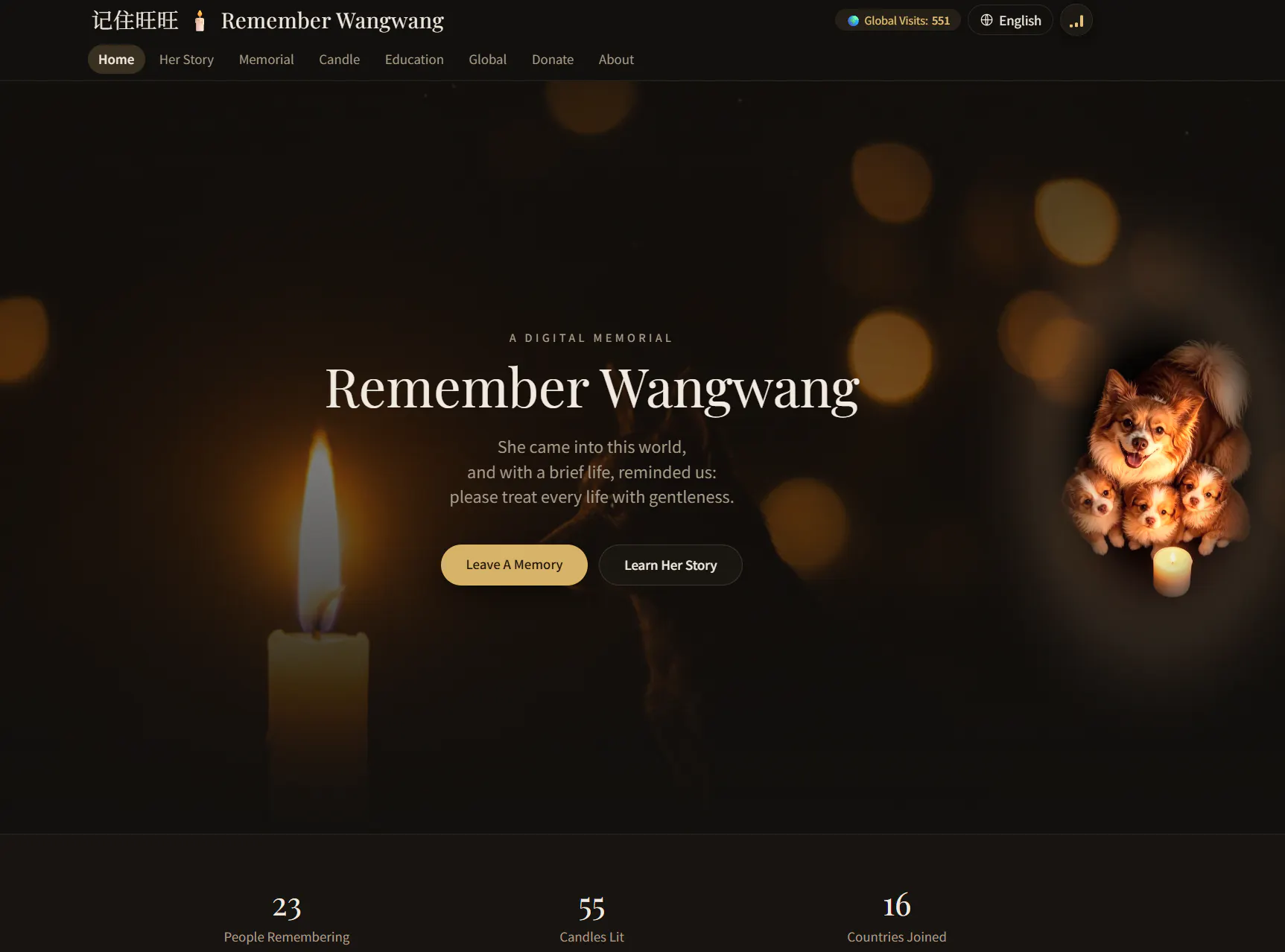 Remember  Wangwang.  