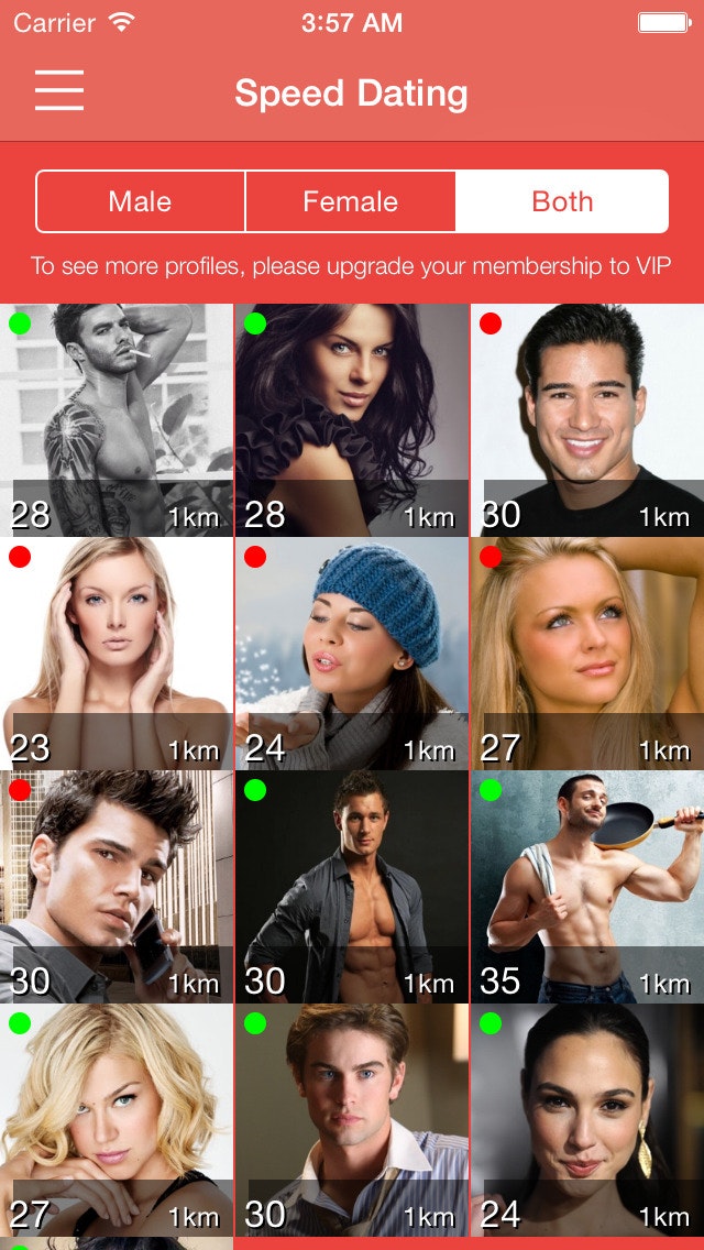 Speed Dating gallery image