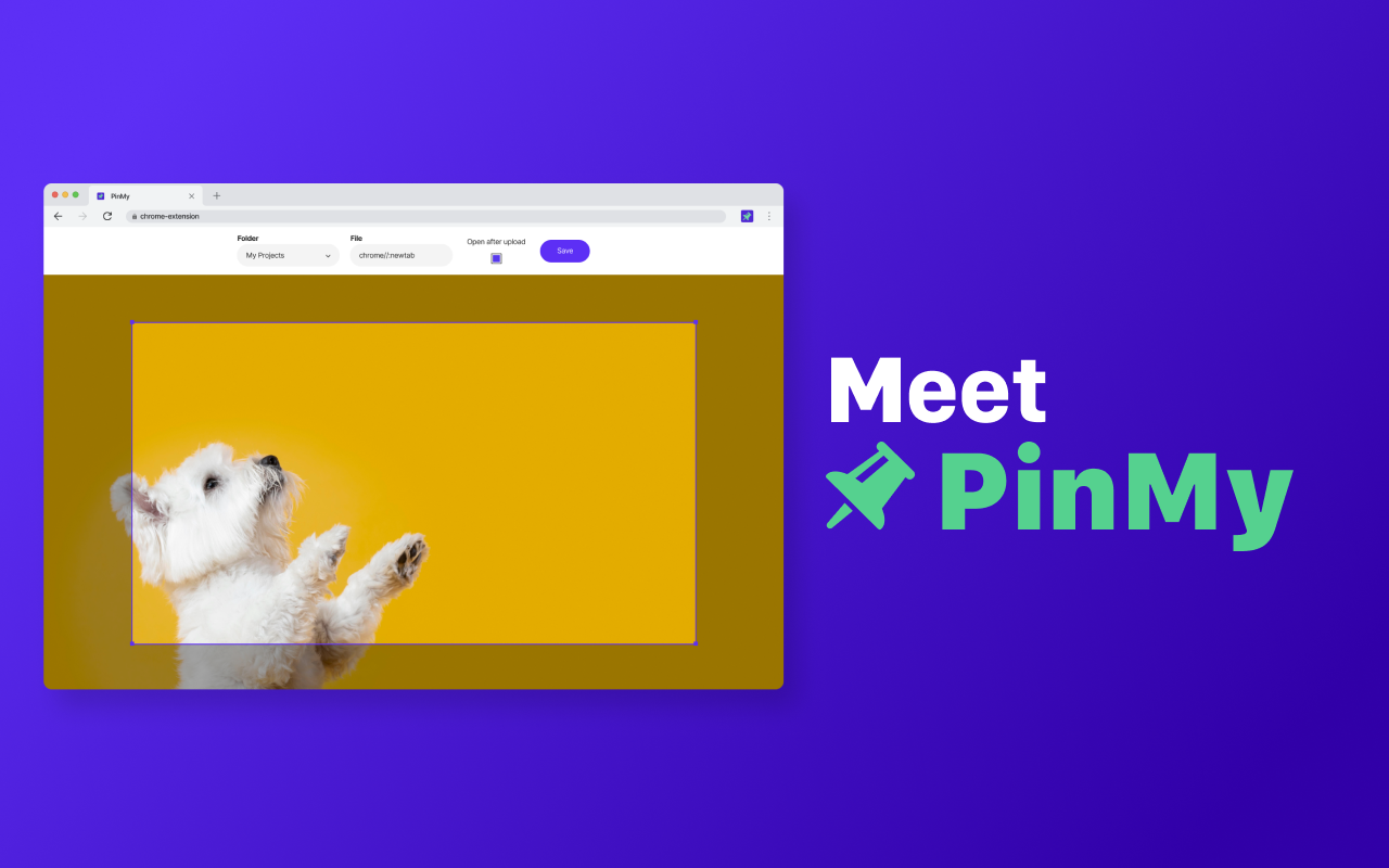 Pinmy media 9
