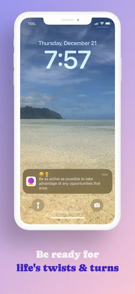 lani.ai gallery image
