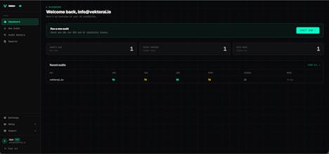 VektorAI — AI Visibility Audit Tool gallery image