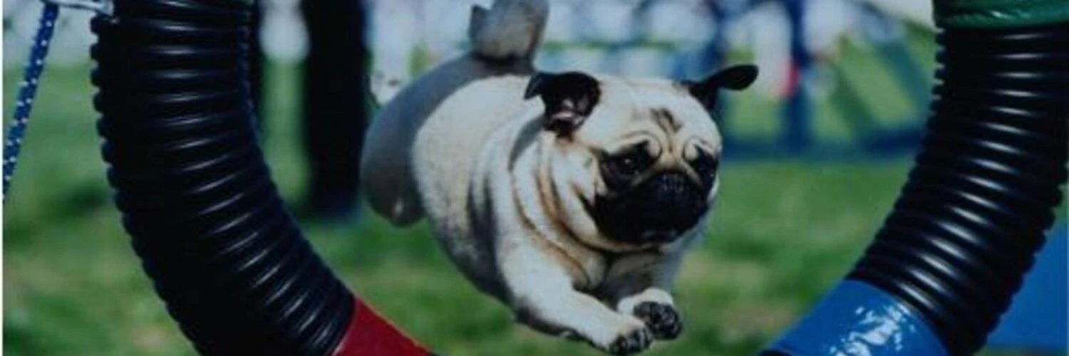 Christine Tsai cover