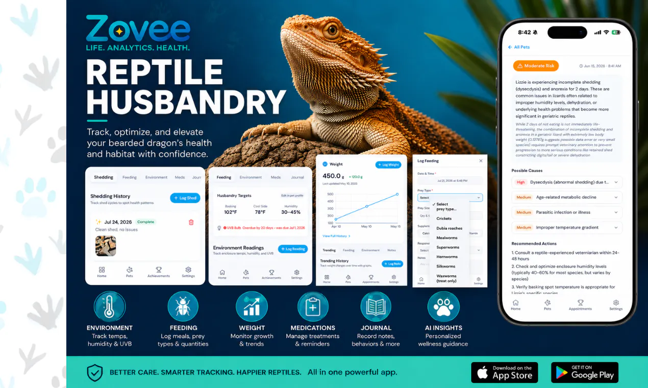 Zovee screenshot