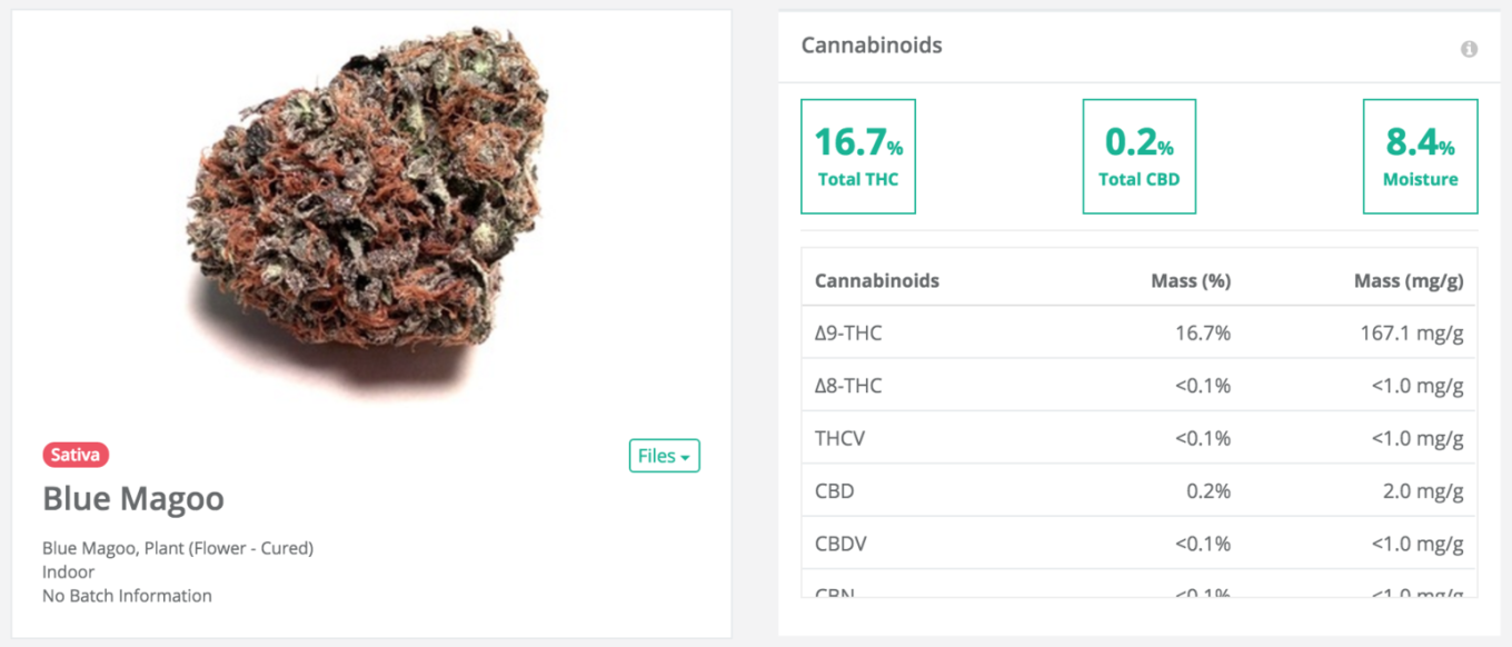 Confident Cannabis gallery image