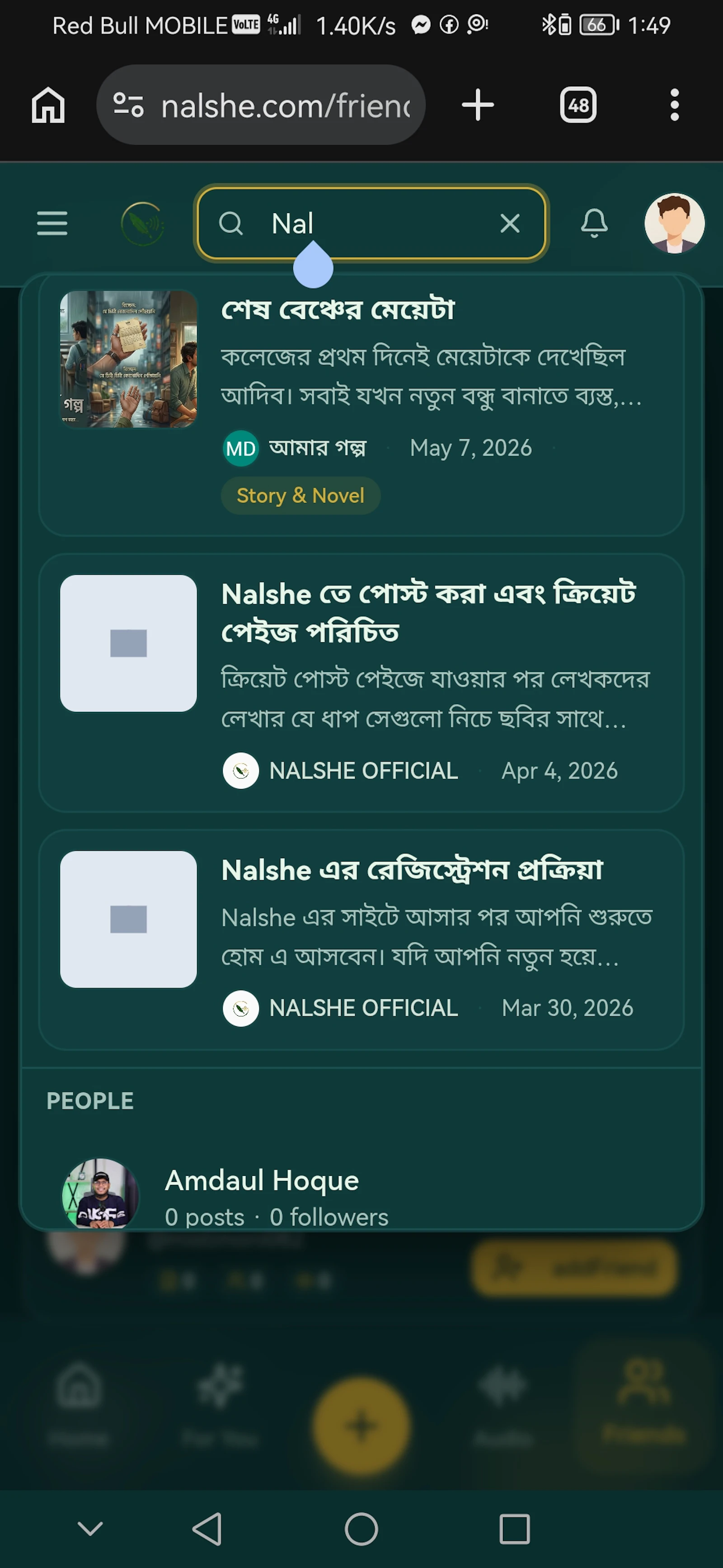Nalshe screenshot 8