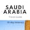 Saudi travel guide (20 day itinerary)
