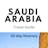 Saudi travel guide (20 day itinerary)