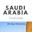 Saudi travel guide (20 day itinerary)
