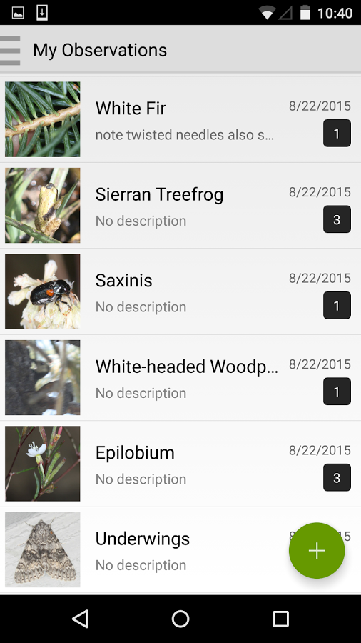 iSeahorse gallery image