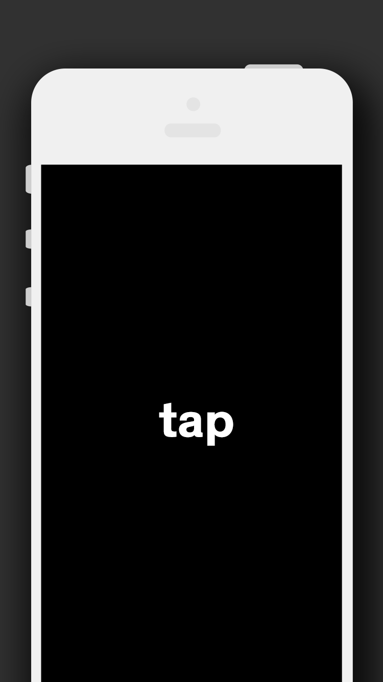 Turtle gallery image