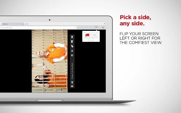 Netflip gallery image