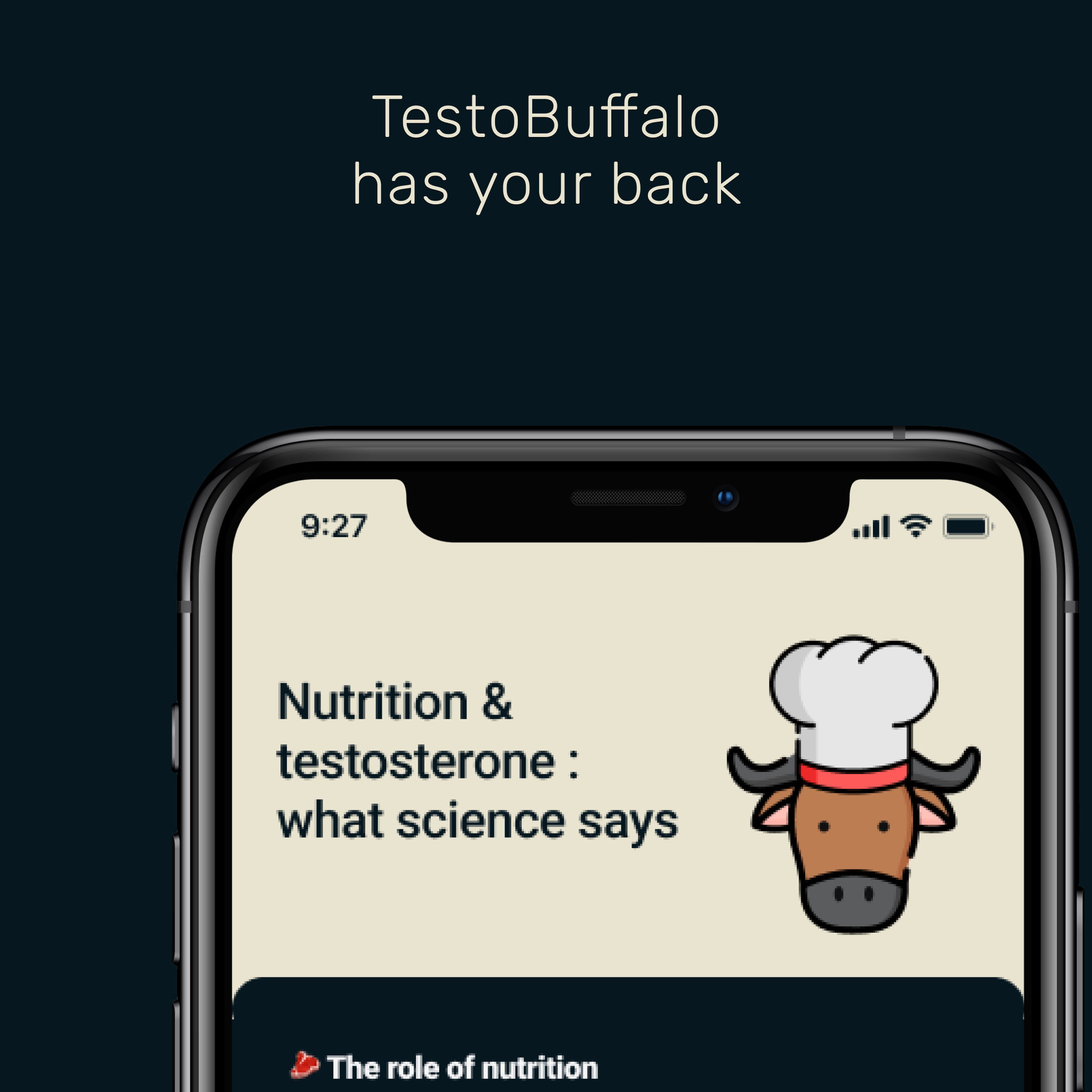 Testobuffalo media 4