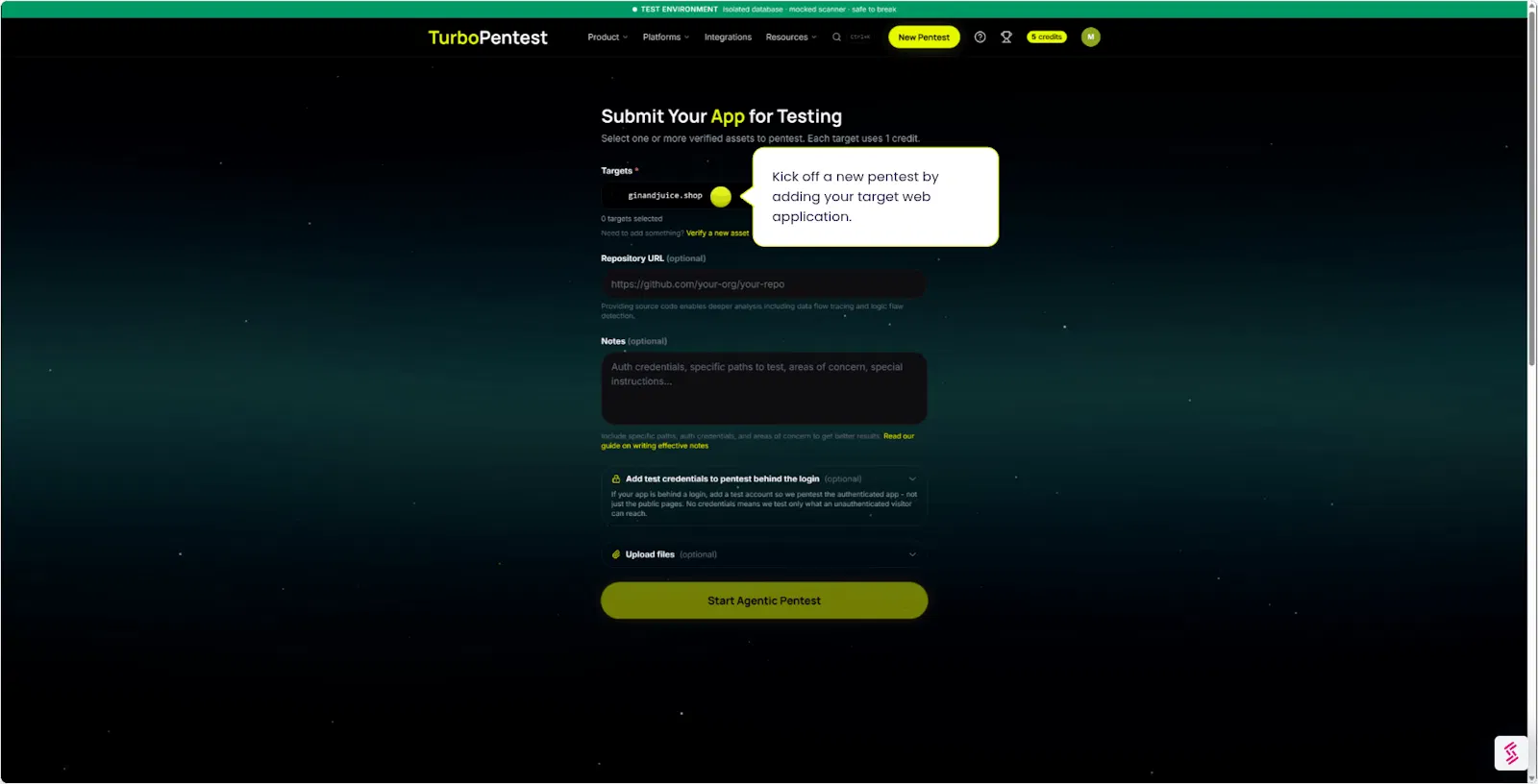 TurboPentest screenshot 2