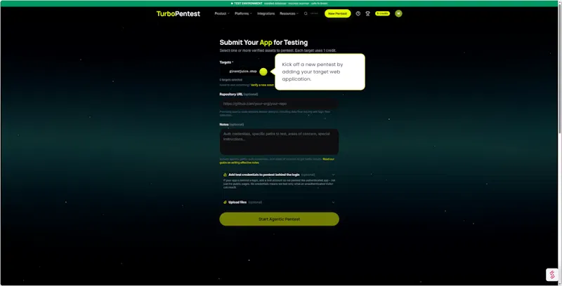 TurboPentest screenshot 2