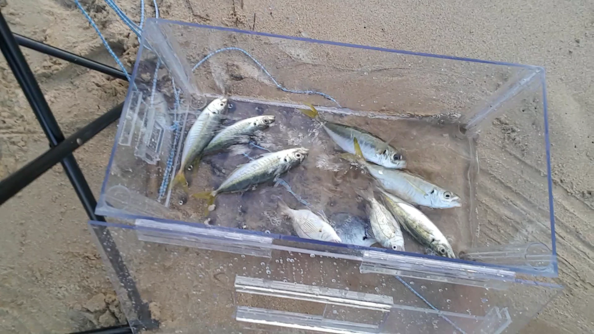 The Ultimate FishTrapper and Baitwell