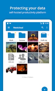 Nextcloud gallery image