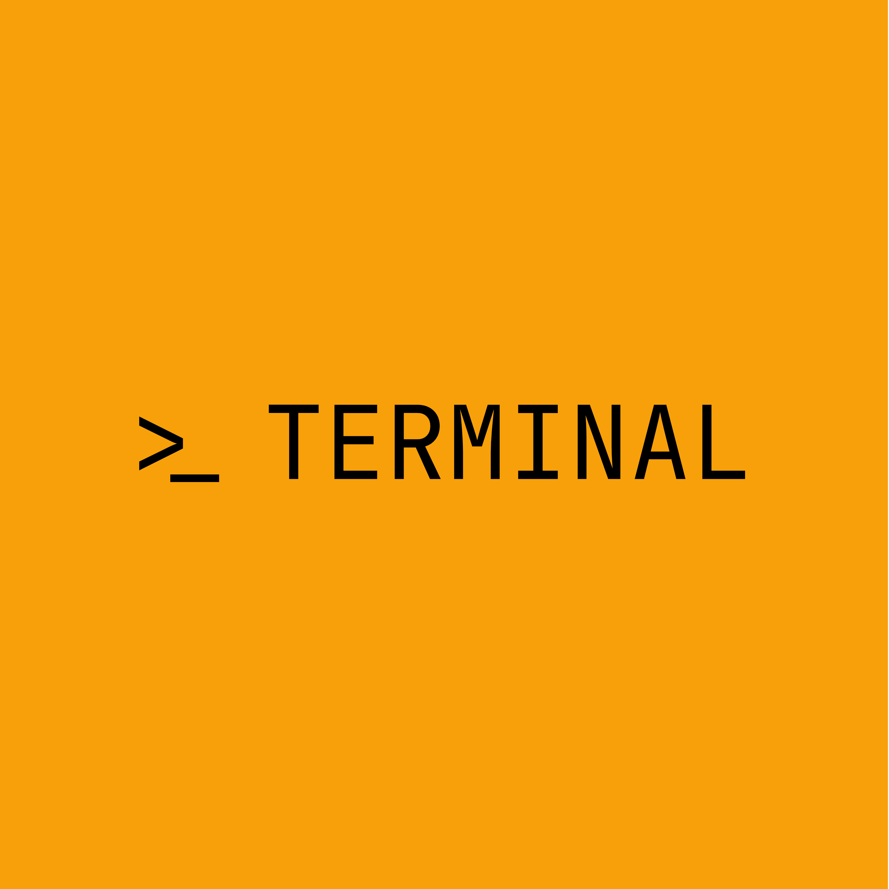 Terminal 