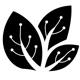 code-tree.dev