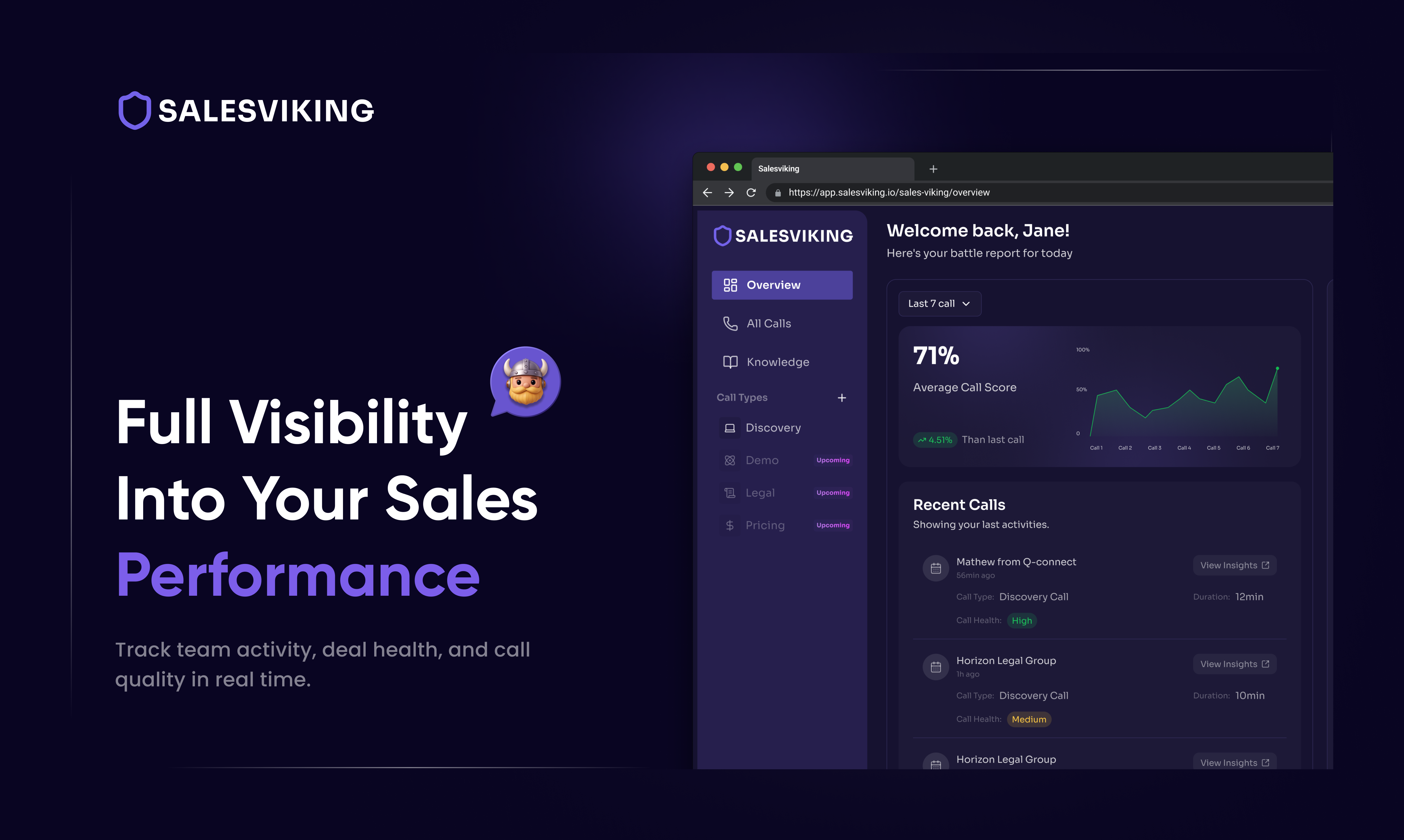 SalesViking gallery image