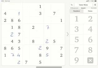 Pro:Sudoku gallery image