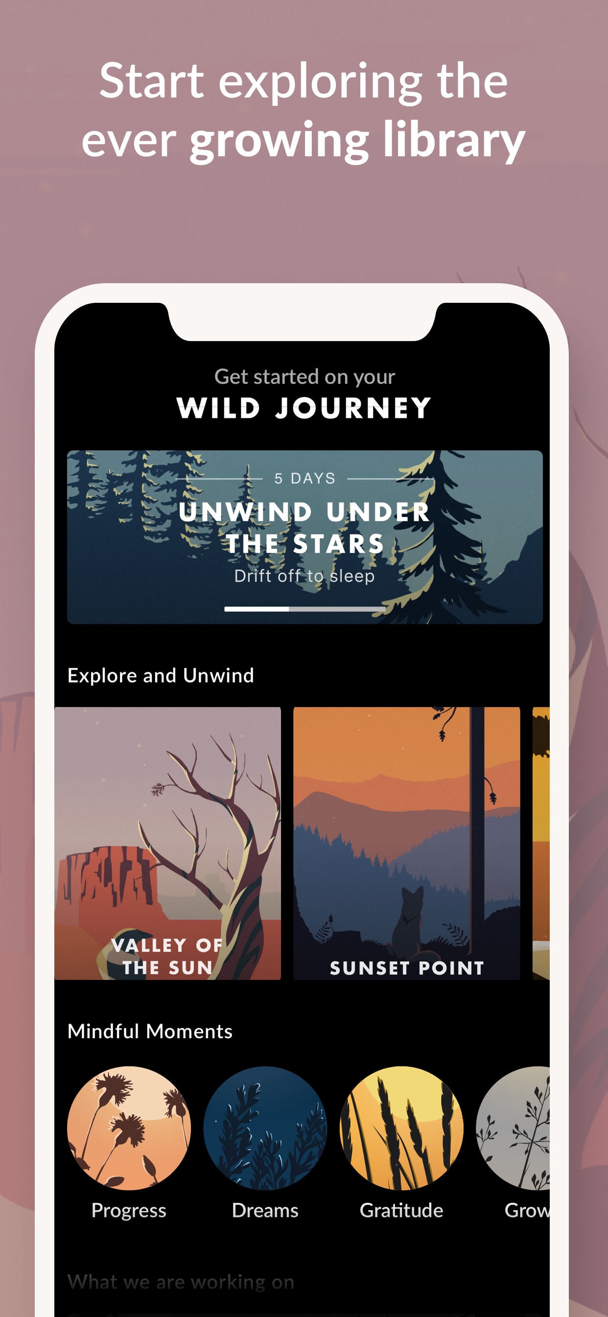 Wild Journey gallery image