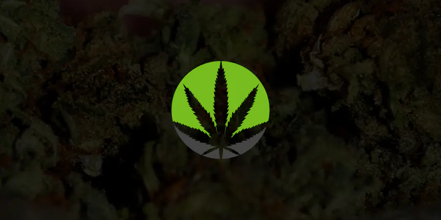 WP Dispensary