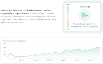 DeepSurface RiskAnalyzer gallery image