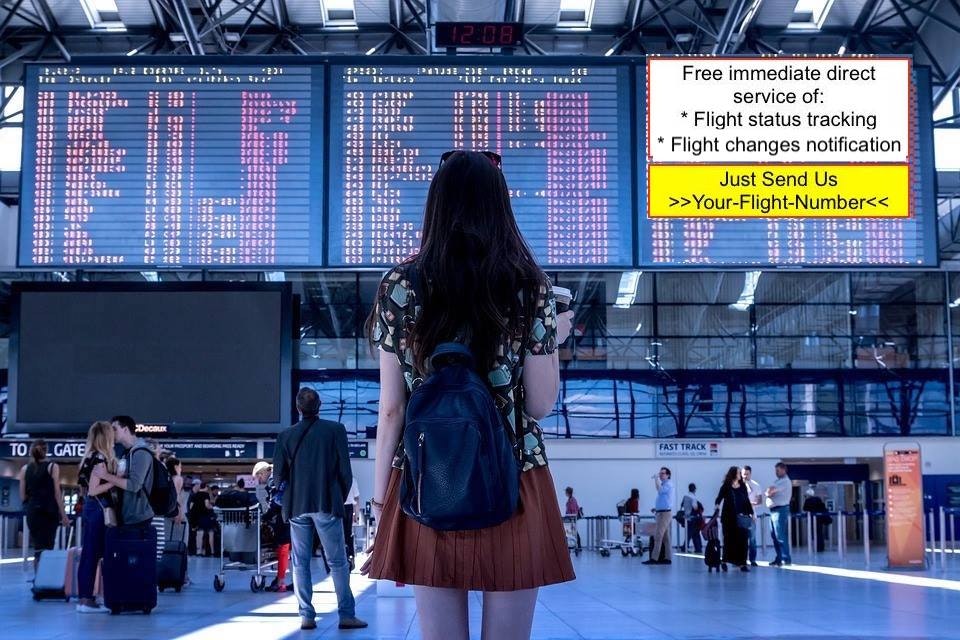 Flight Status 24/7 gallery image