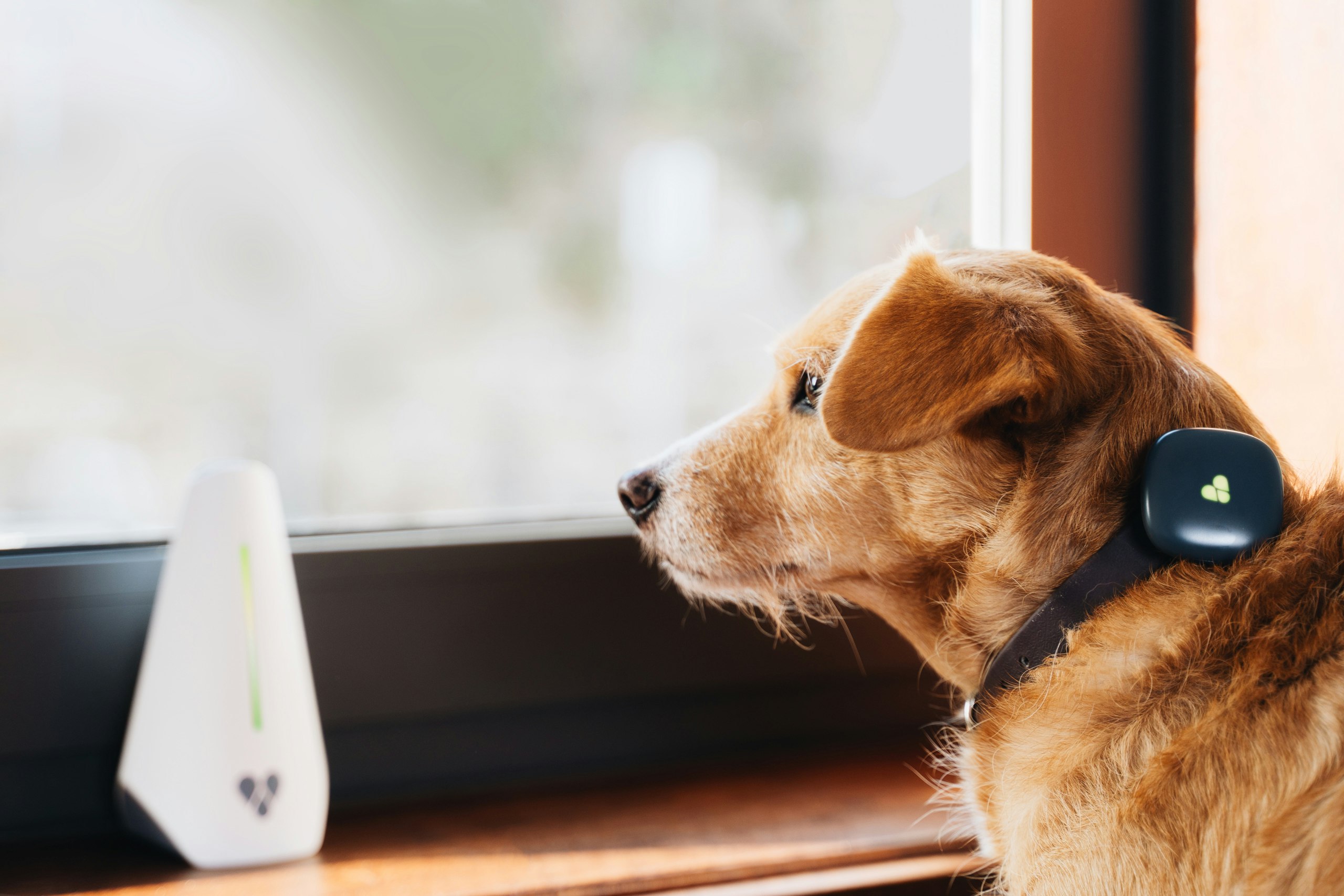 Findster Home gallery image