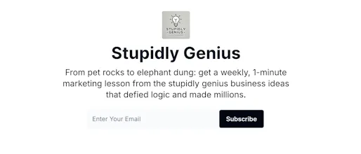 The Stupidly Genius Newsletter gallery image
