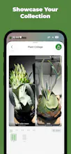 StaghornPal gallery image