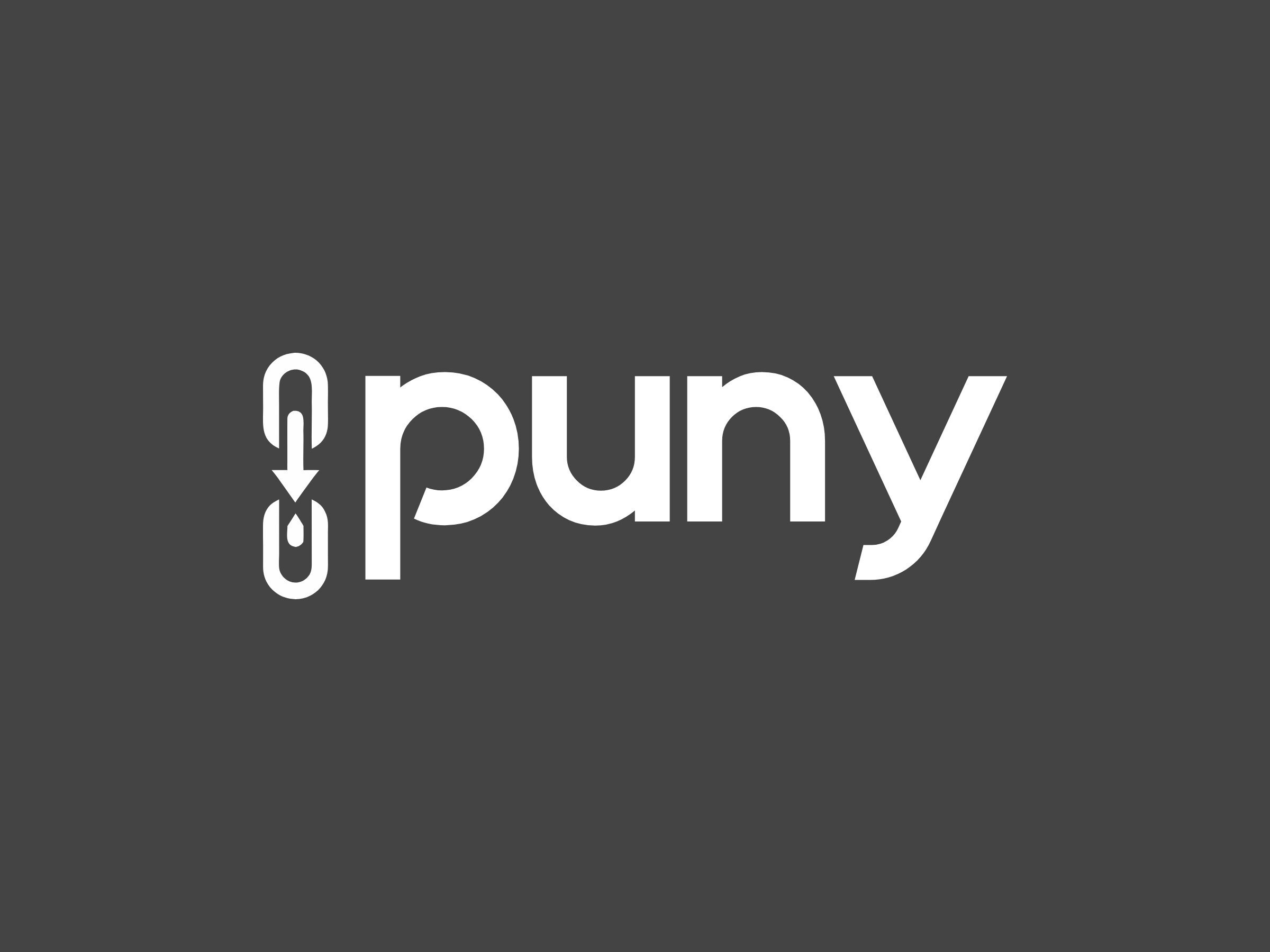 puny.io - Screenshot 2 showing product features and functionality