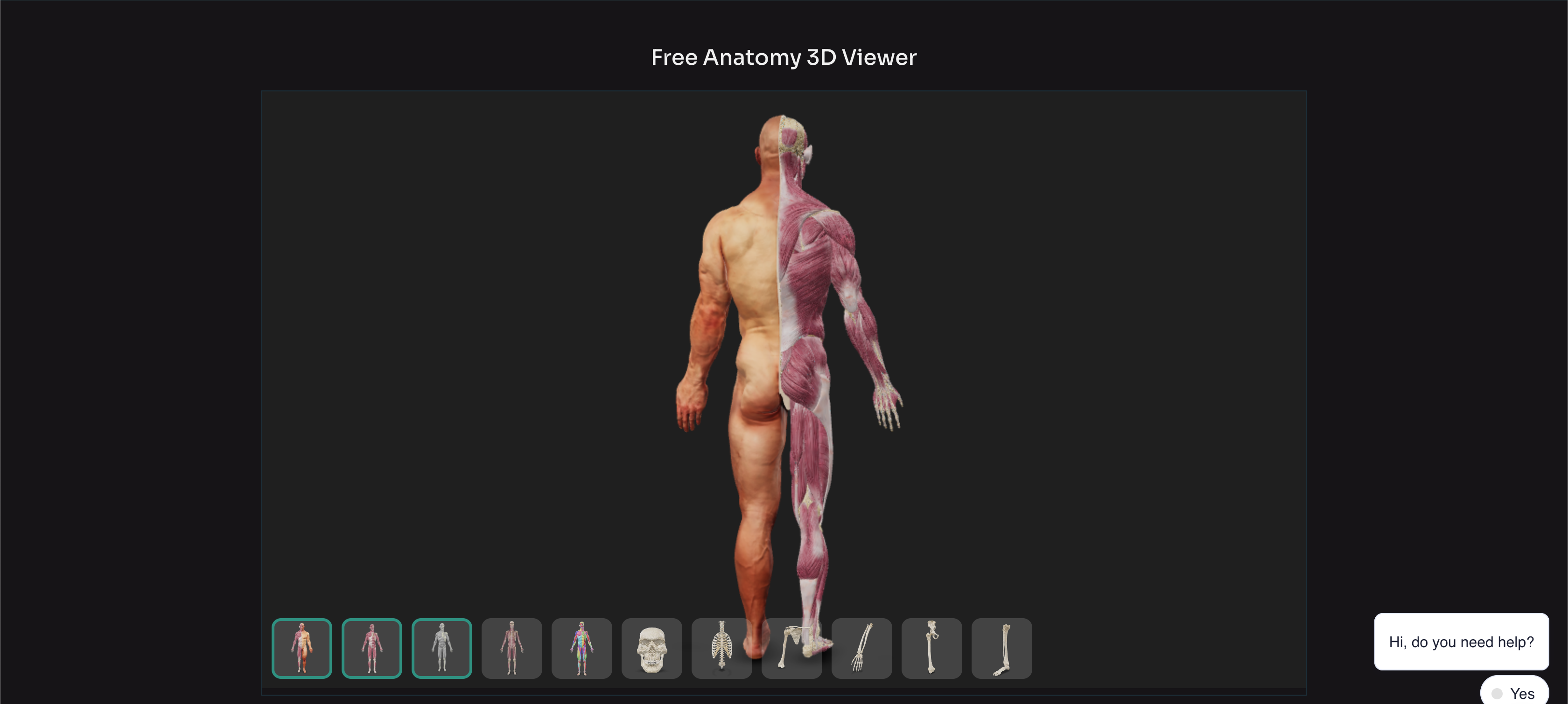 SA Anatomy gallery image