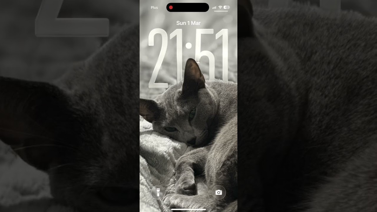 Handld gallery image