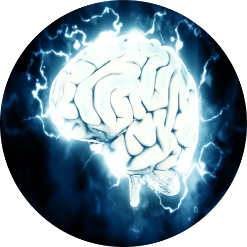 Pro Learner - Unlimited Quizzes For All