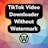 TikTok Video Downloader for WordPress