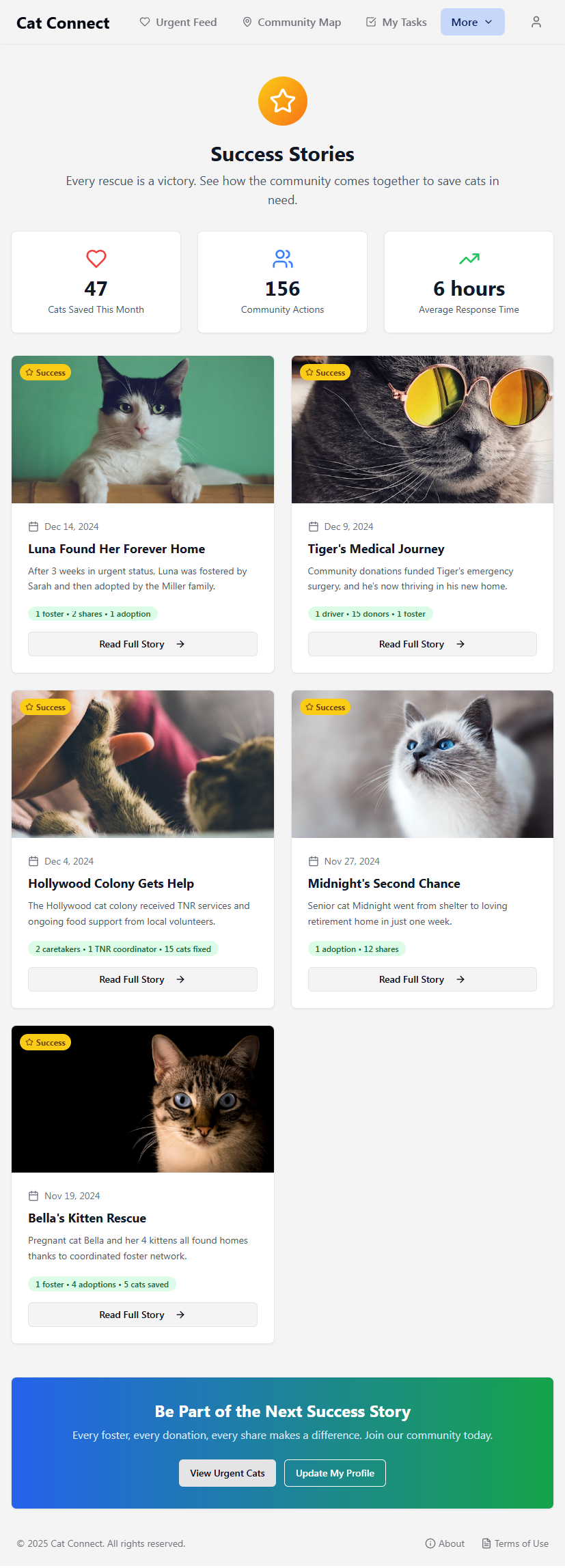 Cat Connect gallery image