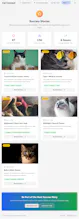 Cat Connect gallery image