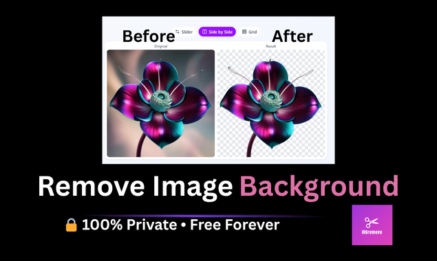 Free Background Remover No Signup gallery image
