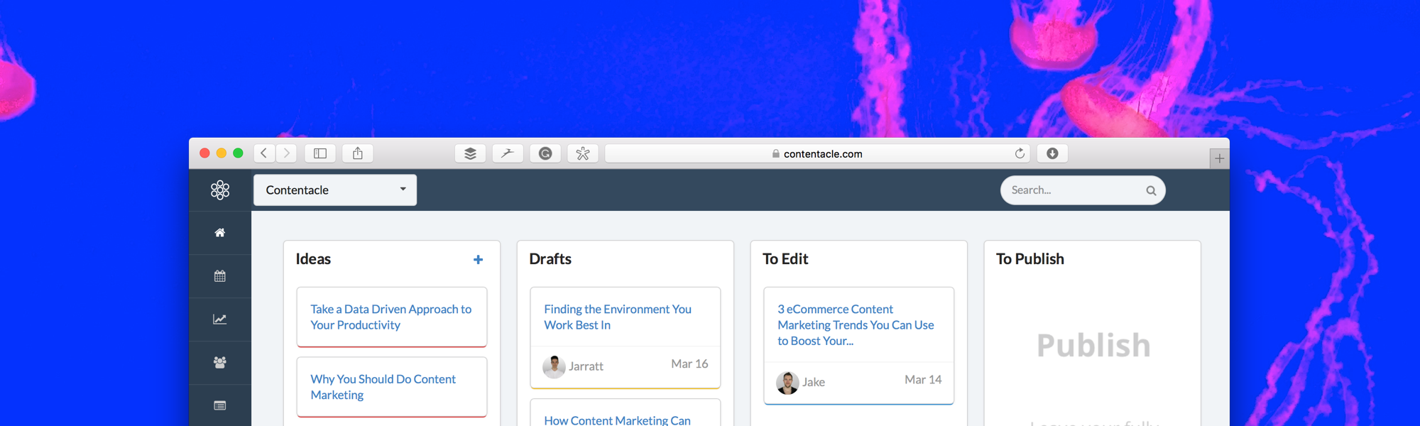 Contentacle 2.0 Image