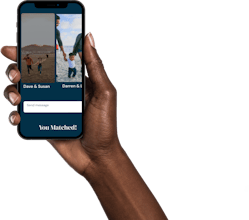 Meerkat gallery image