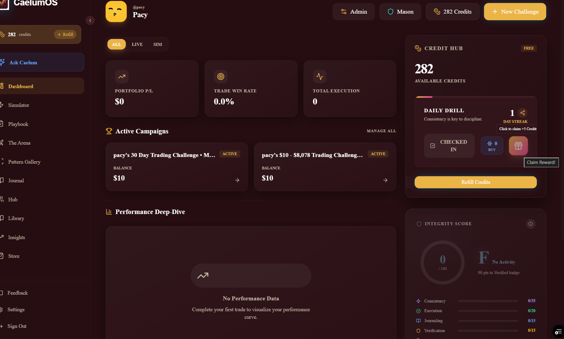 CaelumOS gallery image