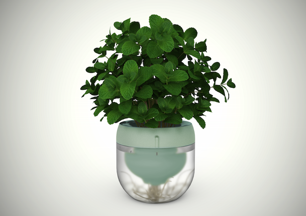 Droponic gallery image