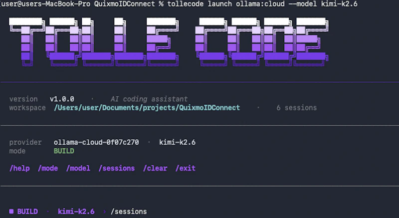 Tollecode screenshot 2