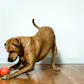 PlayDate